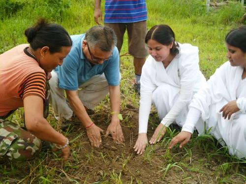 nepal simra service news (13)
